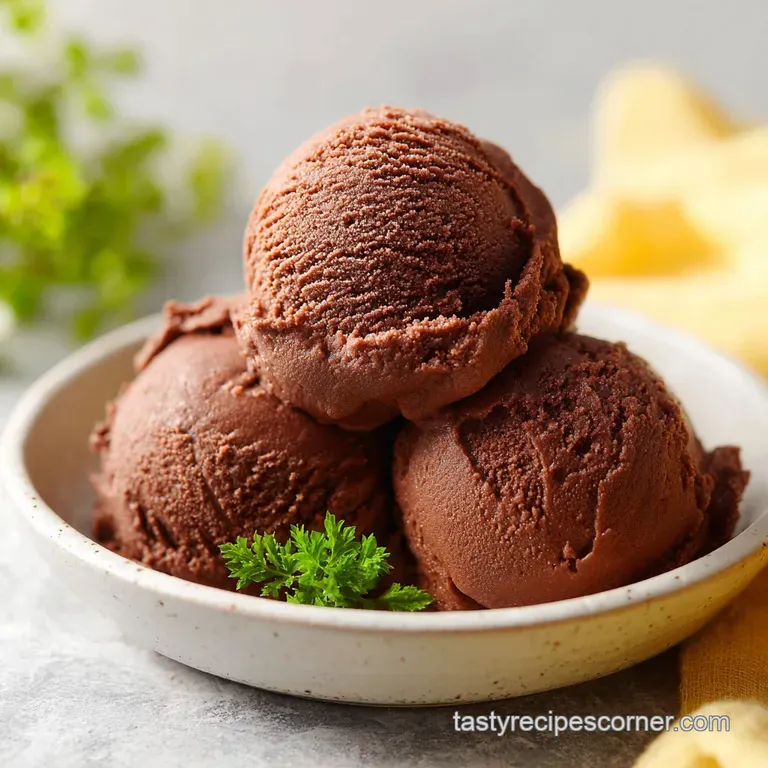 A sleek quenelle of deep cocoa frozen dessert topped with a fresh mint leaf and a single raspberry on a white plate.